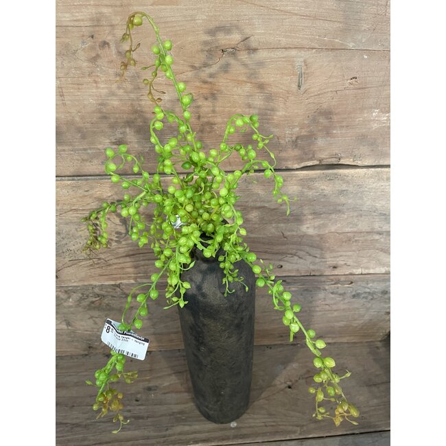 ## Groene hanger - Hanging Senecio 37cm