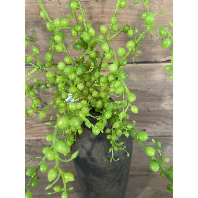 ## Groene hanger - Hanging Senecio 37cm
