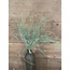 ## Long Moss Bush 56 cm