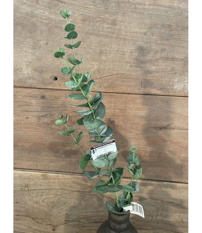 Eucalyptus Spray 81cm