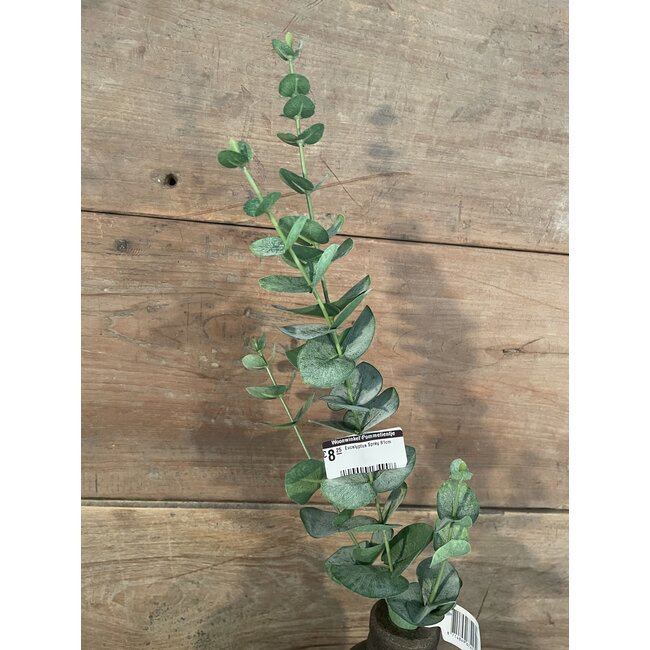 Eucalyptus Spray 81cm