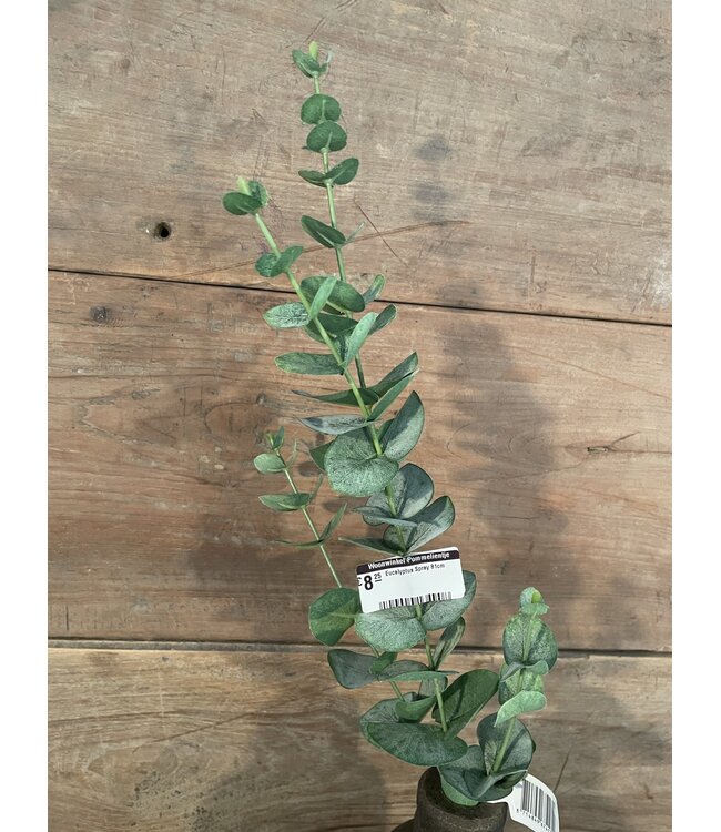 Eucalyptus Spray 81cm