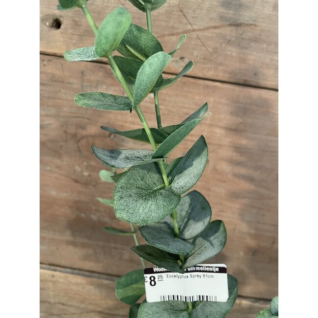 Eucalyptus Spray 81cm