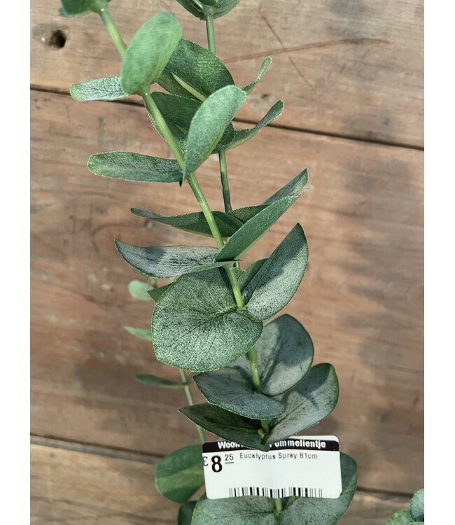 Eucalyptus Spray 81cm