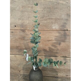 W124- Eucalyptus Spray x4 w/31 lvs - 76 x 14 x 10 cm