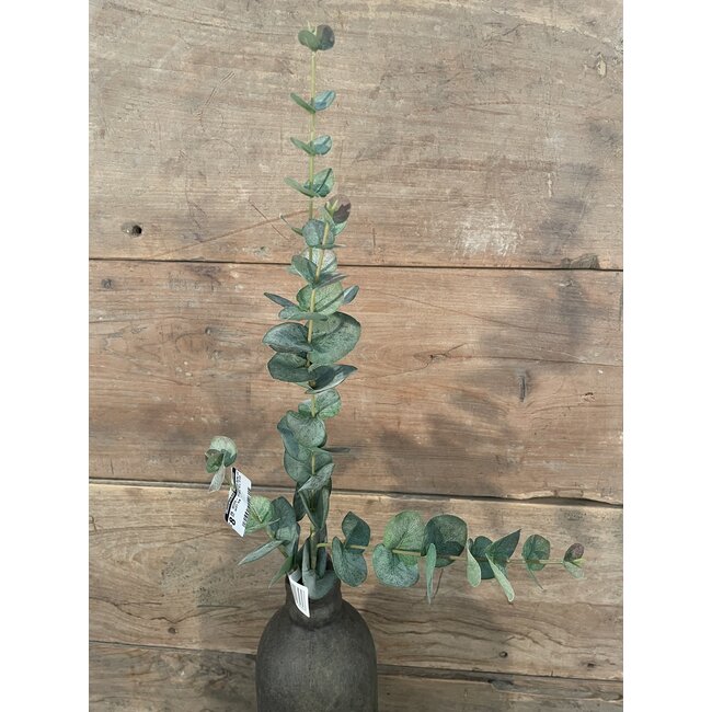 W124- Eucalyptus Spray x4 w/31 lvs - 76 x 14 x 10 cm
