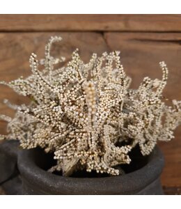 Limonium bundel top crème- kunst --L15B15H41CM