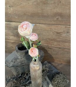 # Roze/crèmekleurige ranonkel 48 cm
