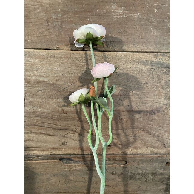 ## Roze/crèmekleurige ranonkel 48 cm