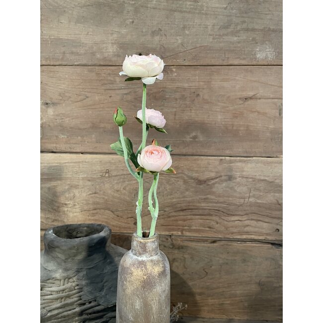 ## Roze/crèmekleurige ranonkel 48 cm