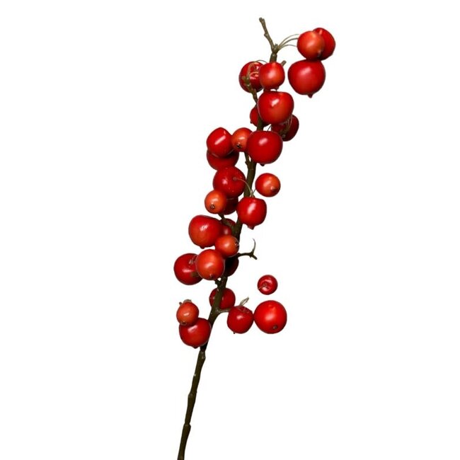 Malus spray small 70cm rood