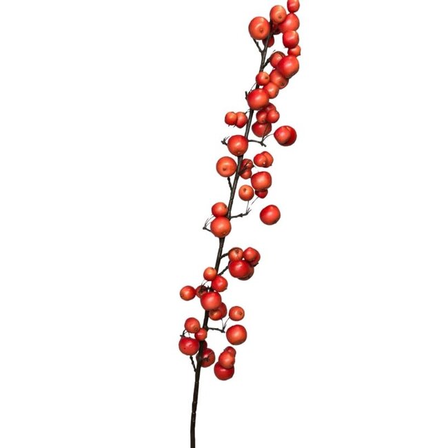 Malus spray large 140 cm rood