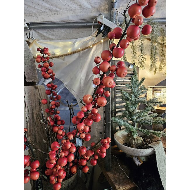 Malus spray large 140 cm rood