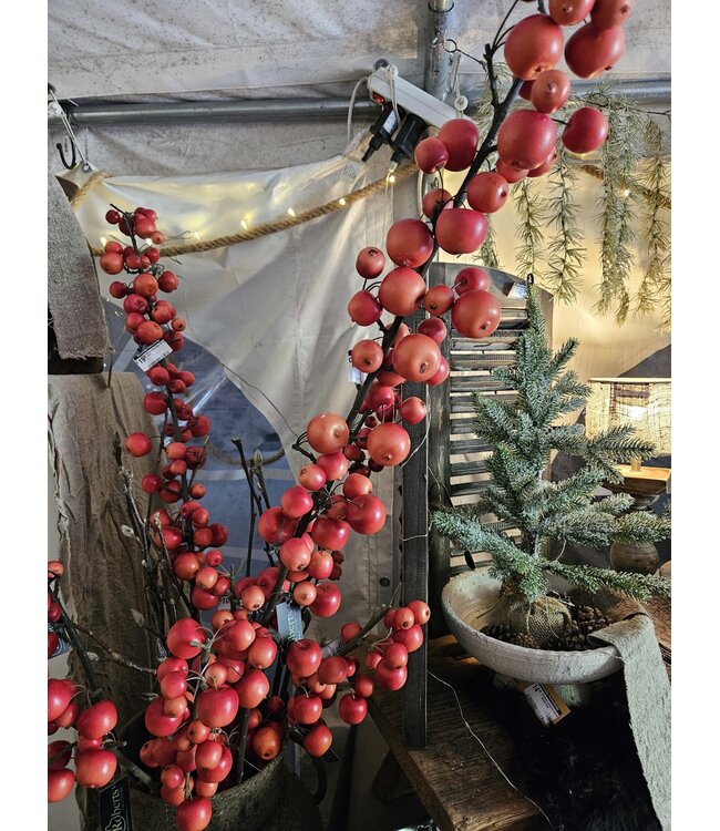 Malus spray large 140 cm rood