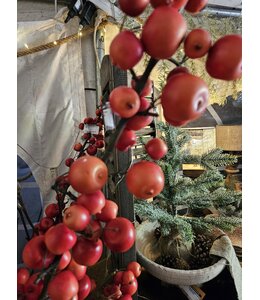 Malus spray large 140 cm rood