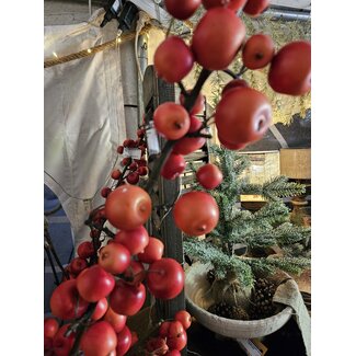 Malus spray large 140 cm rood