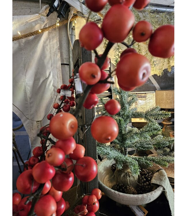 Malus spray large 140 cm rood