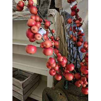 Malus spray small 70cm rood