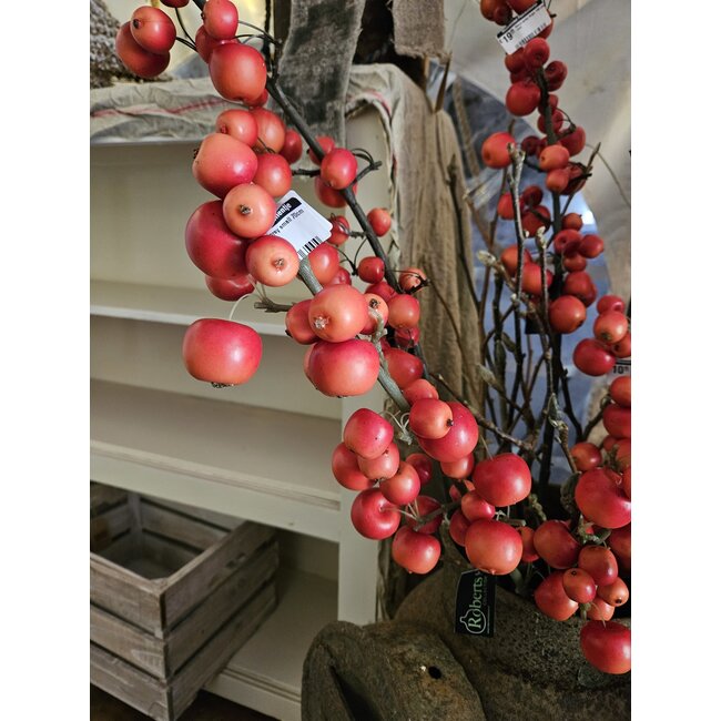 Malus spray small 70cm rood
