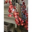 Malus spray small 70cm rood
