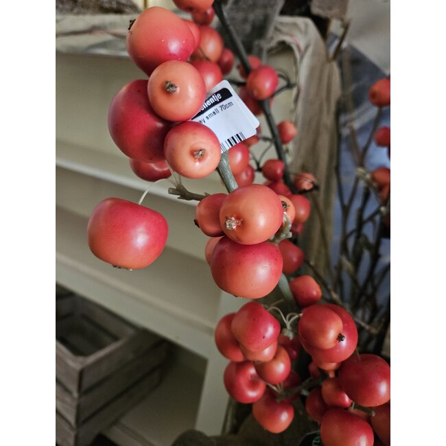 Malus spray small 70cm rood