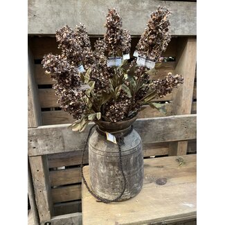 Countryfield Fatsia japonica bruin-L6B20H87CM