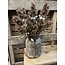 Countryfield Fatsia japonica bruin-L6B20H87CM