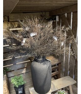 Countryfield Cotinus bruin-L8B20H102CM