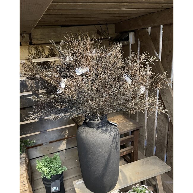 Countryfield Cotinus bruin-L8B20H102CM