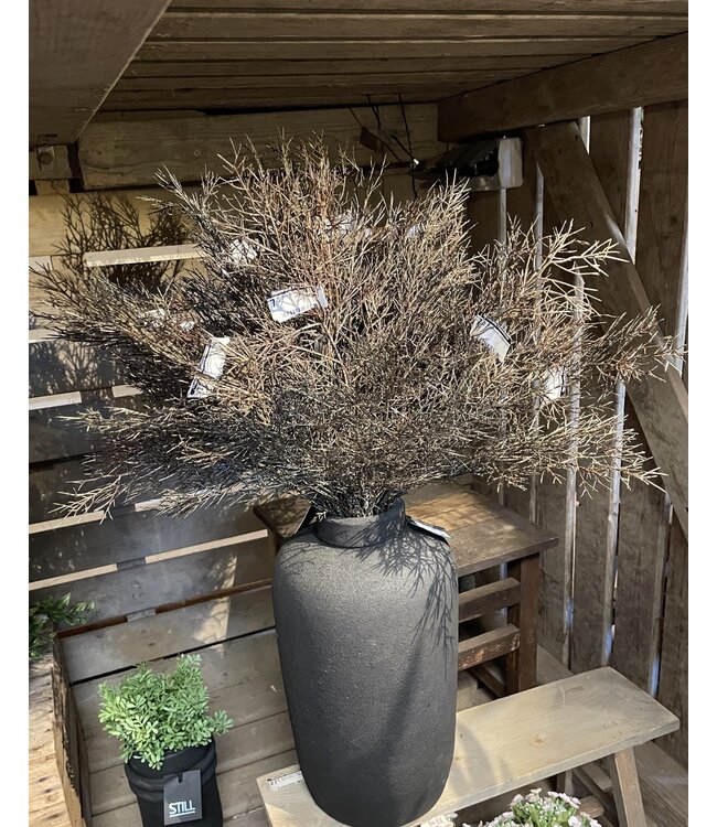 Countryfield Cotinus bruin-L8B20H102CM