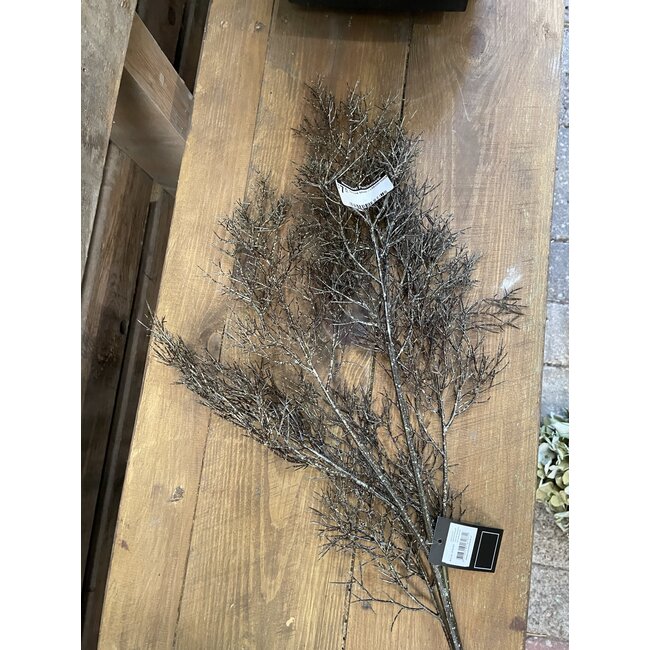 Countryfield # Cotinus bruin-L8B20H102CM