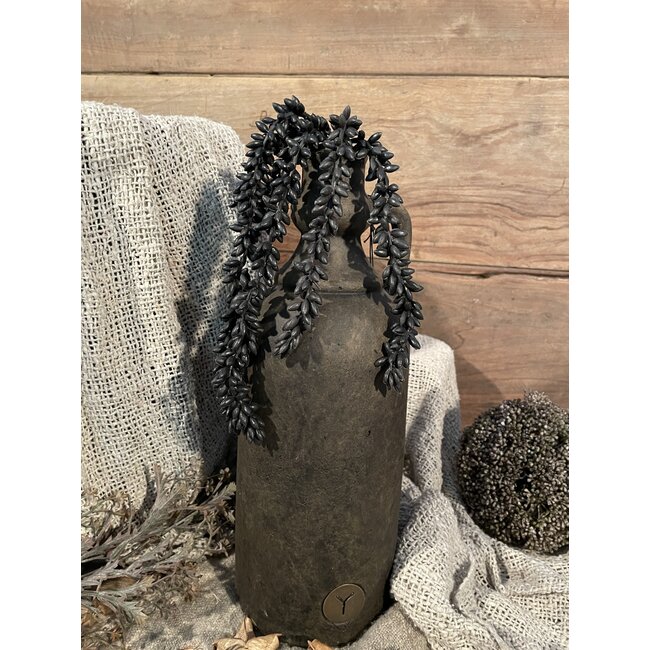 ## Zwarte erwtenplant 33 cm