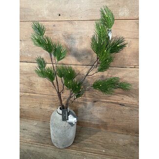 Countryfield Pinus L groen-L12B25H101CM