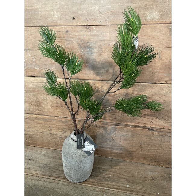 Countryfield Pinus L groen-L12B25H101CM