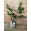 Countryfield Pinus L groen-L12B25H101CM