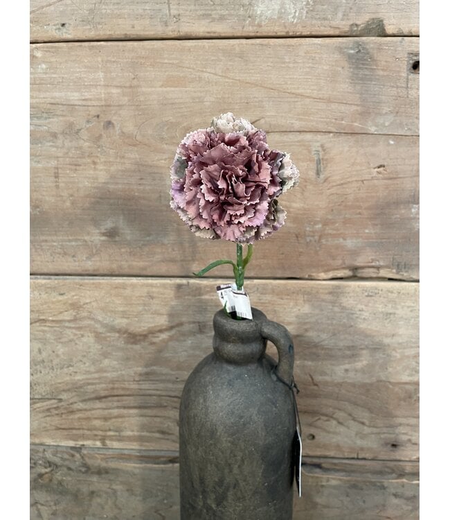 ### Carnation SP 54cm