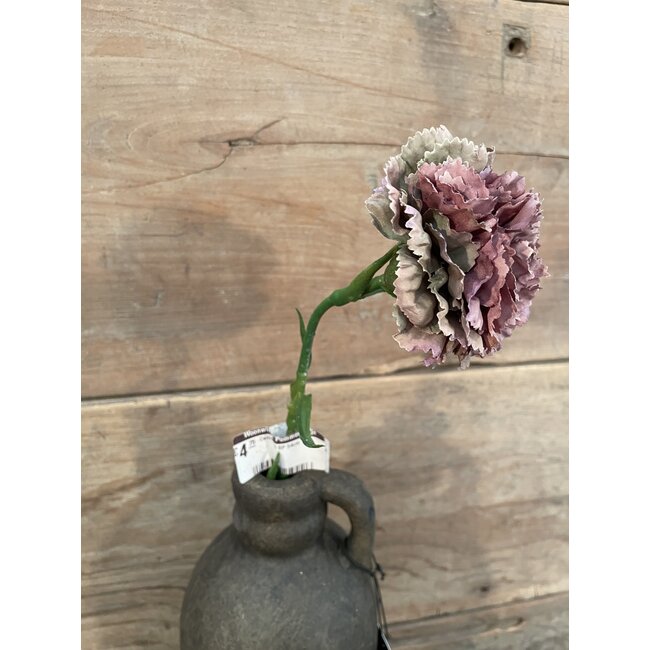 ## Carnation SP 54cm