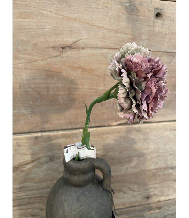 ### Carnation SP 54cm