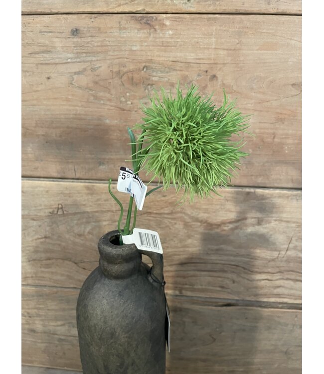 Carnation Green Trick 58cm