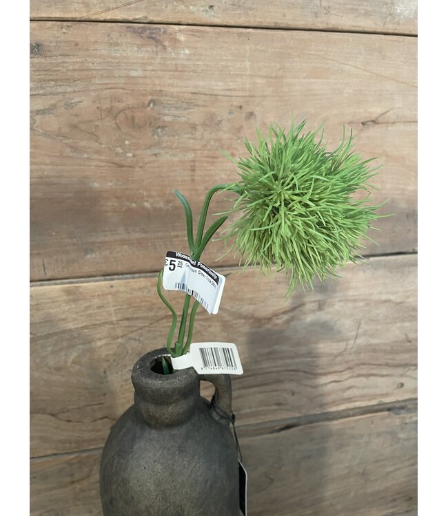 Carnation Green Trick 58cm