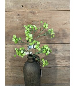 ## Gypsophilia 66cm - wit/groen