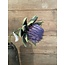 ## Artichoke 79cm