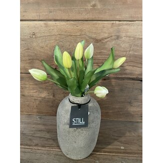 # Tulip Bundle x7 32cm - creme/wit
