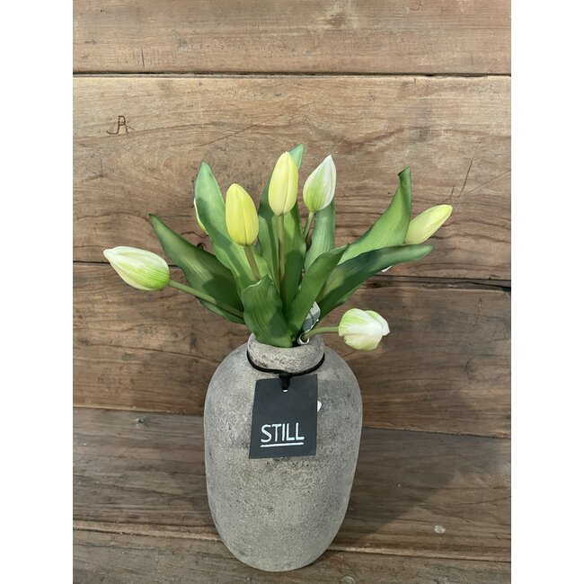 # Tulip Bundle x7 32cm - creme/wit