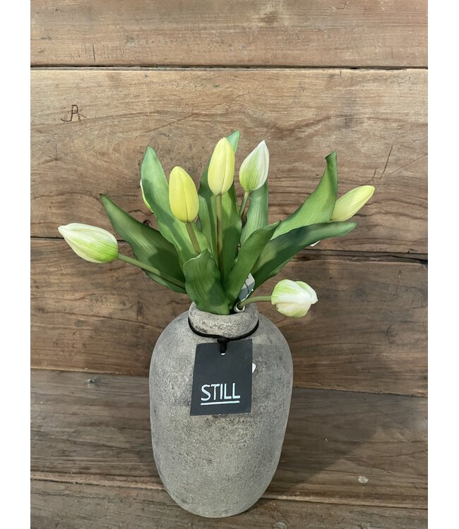 # Tulip Bundle x7 32cm - creme/wit