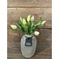 # Tulip Bundle x7 32cm - creme/wit