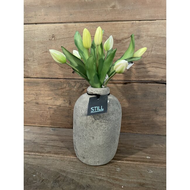 # Tulip Bundle x7 32cm - creme/wit