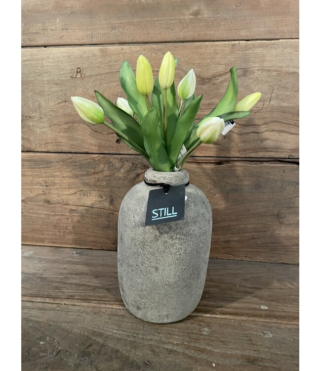 # Tulip Bundle x7 32cm - creme/wit