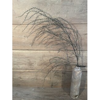 Countryfield ## Euphorbia groen-L137B10H10CM