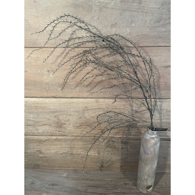 Countryfield ## Euphorbia groen-L137B10H10CM